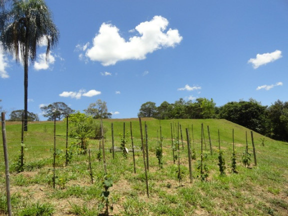 Imagem Terreno para Alugar ou Temporada, 5.003 m² em Residencial São Domingos - Jundiaí Imagem Terreno para Alugar ou Temporada, 5.003 m² em Residencial São Domingos - Jundiaí