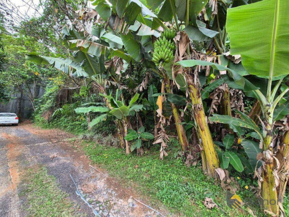 Imagem Terreno à Venda, 792 m² em Itoupava Norte - Blumenau Imagem Terreno à Venda, 792 m² em Itoupava Norte - Blumenau