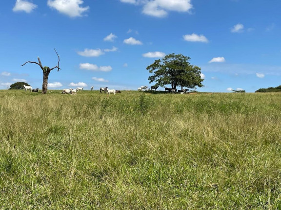 Imagem Imóvel à Venda, 25 m² em área Rural De São José Do Rio Preto - São José Do Rio Preto Imagem Imóvel à Venda, 25 m² em área Rural De São José Do Rio Preto - São José Do Rio Preto