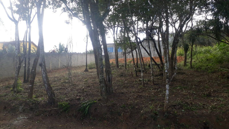 Imagem Terreno à Venda, 1.000 m² em Ortizes - Piedade Imagem Terreno à Venda, 1.000 m² em Ortizes - Piedade