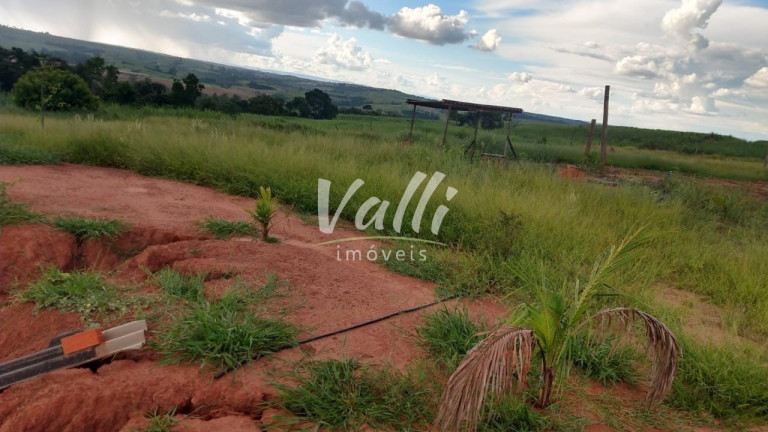 Imagem Imóvel à Venda, 3.500 m² em Olhos D’água - Santa Bárbara Doeste Imagem Imóvel à Venda, 3.500 m² em Olhos D’água - Santa Bárbara Doeste