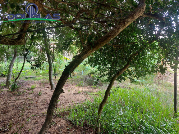 Imagem Casa à Venda, 530 m² em Viamão Imagem Casa à Venda, 530 m² em Viamão