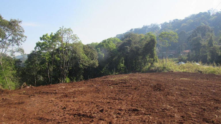 Imagem Terreno à Venda, 28.000 m² em Interior - Concórdia Imagem Terreno à Venda, 28.000 m² em Interior - Concórdia