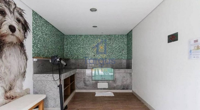 Imagem Apartamento com 2 Quartos à Venda, 77 m² em Vila Formosa - São Paulo Imagem Apartamento com 2 Quartos à Venda, 77 m² em Vila Formosa - São Paulo