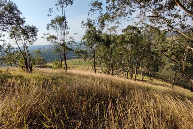 Imagem Terreno à Venda, 20.038 m² em Botujuru (botujuru) - Campo Limpo Paulista Imagem Terreno à Venda, 20.038 m² em Botujuru (botujuru) - Campo Limpo Paulista