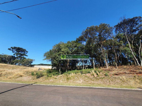 Imagem Terreno à Venda, 2.057 m² em Orleans - Curitiba Imagem Terreno à Venda, 2.057 m² em Orleans - Curitiba