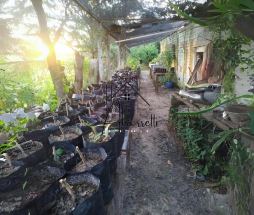 Imagem Chácara com 3 Quartos à Venda, 20.570 m² em Nhô Quim - Piracicaba