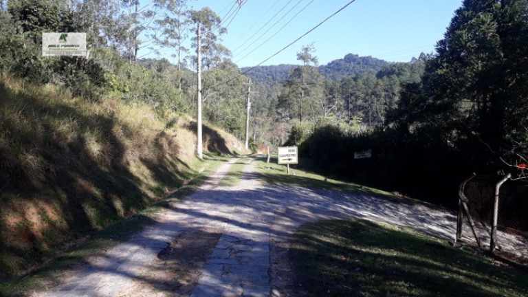 Imagem Terreno à Venda, 1.400 m² em Caete (mailasqui) - São Roque Imagem Terreno à Venda, 1.400 m² em Caete (mailasqui) - São Roque