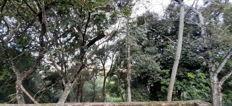 Imagem Terreno à Venda, 600 m² em São João Do Rio Vermelho - Florianópolis Imagem Terreno à Venda, 600 m² em São João Do Rio Vermelho - Florianópolis