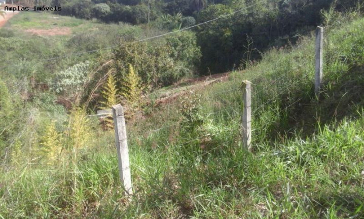 Imagem Imóvel à Venda, 4.950 m² em Vila Suzana - Mateus Leme Imagem Imóvel à Venda, 4.950 m² em Vila Suzana - Mateus Leme