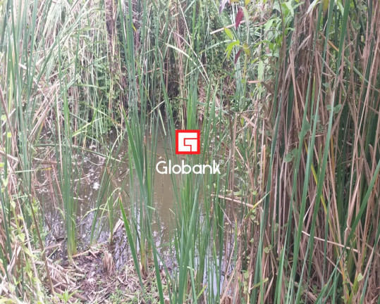 Imagem Imóvel à Venda, em Fazenda Gameleira - Montes Claros Imagem Imóvel à Venda, em Fazenda Gameleira - Montes Claros