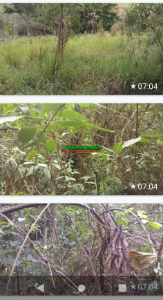Imagem Chácara à Venda, 1.700 m² em Sob. Consulta - Paraibuna Imagem Chácara à Venda, 1.700 m² em Sob. Consulta - Paraibuna