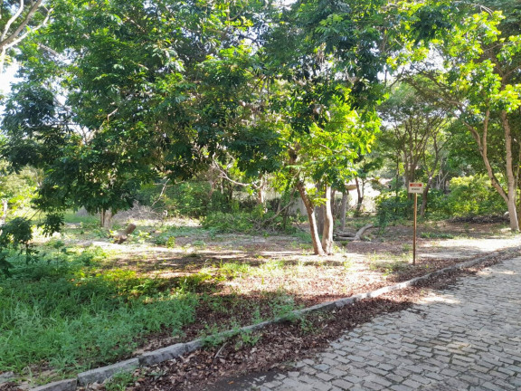 Imagem Terreno em Condomínio à Venda, 985 m² em Praia Da Pipa - Tibau Do Sul Imagem Terreno em Condomínio à Venda, 985 m² em Praia Da Pipa - Tibau Do Sul