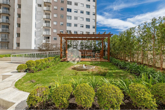 Imagem Apartamento com 3 Quartos à Venda, 82 m² em Jardim Marajoara - São Paulo Imagem Apartamento com 3 Quartos à Venda, 82 m² em Jardim Marajoara - São Paulo