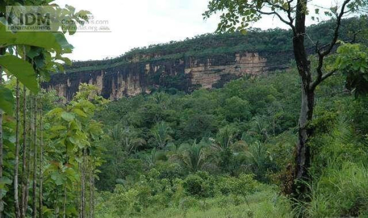 Imagem Chácara à Venda, 2.090.000 m² em Centro - Lajeado Imagem Chácara à Venda, 2.090.000 m² em Centro - Lajeado
