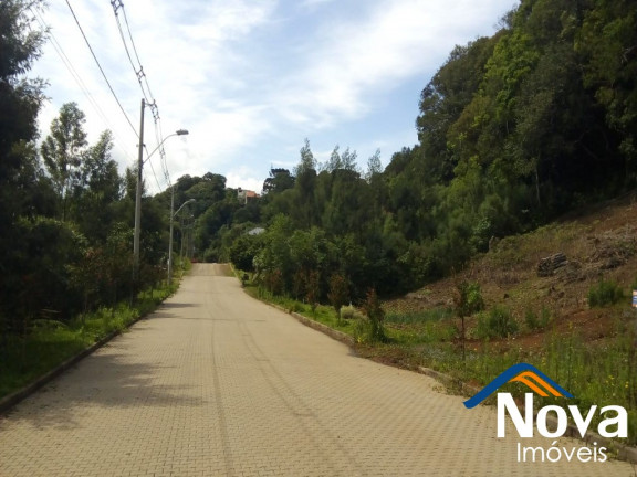 Imagem Imóvel à Venda, 431 m² em Bavária - Nova Petrópolis Imagem Imóvel à Venda, 431 m² em Bavária - Nova Petrópolis