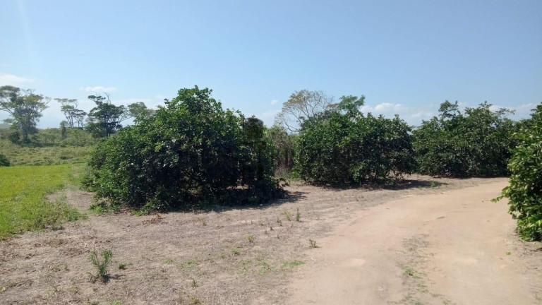 Imagem Fazenda à Venda, 555.000 m² em Sao Vicente - Araruama Imagem Fazenda à Venda, 555.000 m² em Sao Vicente - Araruama