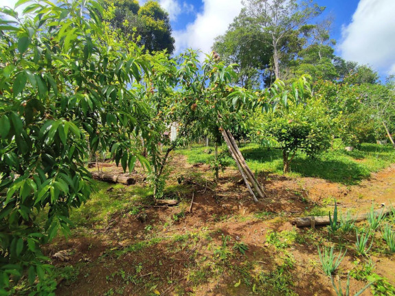 Imagem Chácara à Venda, 1.200 m² em Zona Rural - Tijucas Do Sul Imagem Chácara à Venda, 1.200 m² em Zona Rural - Tijucas Do Sul