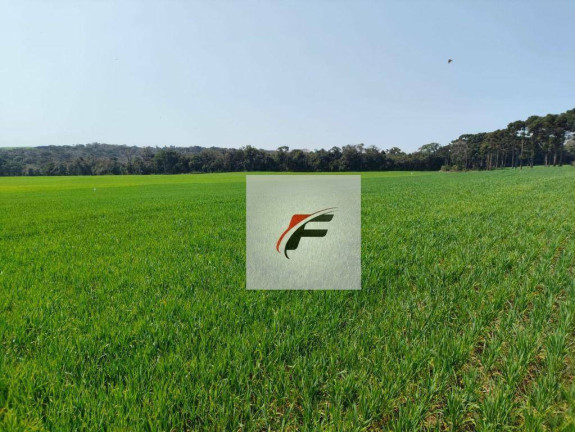 Imagem Fazenda à Venda, 847.000 m² em Centro - Lapa Imagem Fazenda à Venda, 847.000 m² em Centro - Lapa