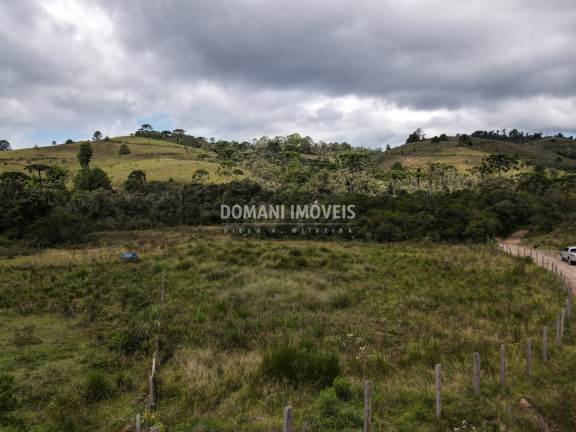 Terreno à Venda, 7.500 m² em Região Do Parque Da Ferradura - Campos Do Jordão