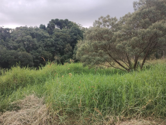 Imagem Terreno à Venda, em São Miguel - Curitiba Imagem Terreno à Venda, em São Miguel - Curitiba