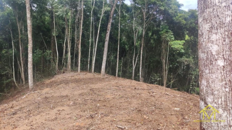 Imagem Fazenda à Venda, 1 m² em Pedra Azul - Venda Nova Do Imigrante Imagem Fazenda à Venda, 1 m² em Pedra Azul - Venda Nova Do Imigrante