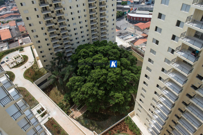 Imagem Apartamento com 3 Quartos à Venda, 76 m² em Picanço - Guarulhos Imagem Apartamento com 3 Quartos à Venda, 76 m² em Picanço - Guarulhos