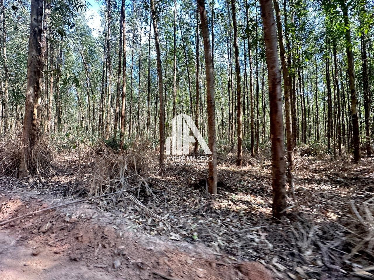 Imagem Imóvel à Venda,  em Mato Seco - Mogi Guaçu