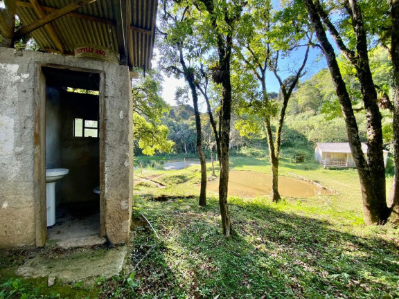 Imagem Fazenda à Venda, 220 m² em Boichininga - Almirante Tamandare Imagem Fazenda à Venda, 220 m² em Boichininga - Almirante Tamandare