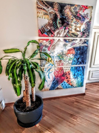 Imagem Apartamento com 3 Quartos à Venda, 100 m² em Vila Mascote - São Paulo