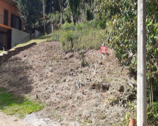 Imagem Imóvel à Venda, 426 m² em Br116 - Nova Petrópolis