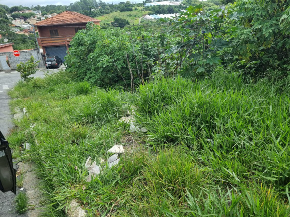 Imagem Terreno à Venda, 294 m² em Barro Branco - Cotia Imagem Terreno à Venda, 294 m² em Barro Branco - Cotia