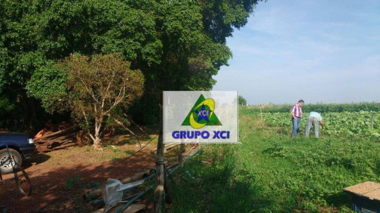Imagem Imóvel à Venda, 128.000 m² em Jardim Pari - Paulínia Imagem Imóvel à Venda, 128.000 m² em Jardim Pari - Paulínia