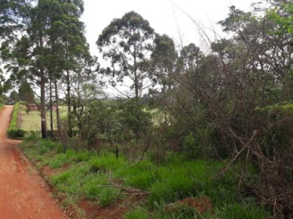 Imagem Terreno à Venda, 5.643 m² em Paruru - Ibiúna Imagem Terreno à Venda, 5.643 m² em Paruru - Ibiúna
