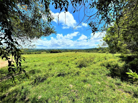 Imagem Chácara à Venda, 1 m² em Fiuza - Viamão Imagem Chácara à Venda, 1 m² em Fiuza - Viamão