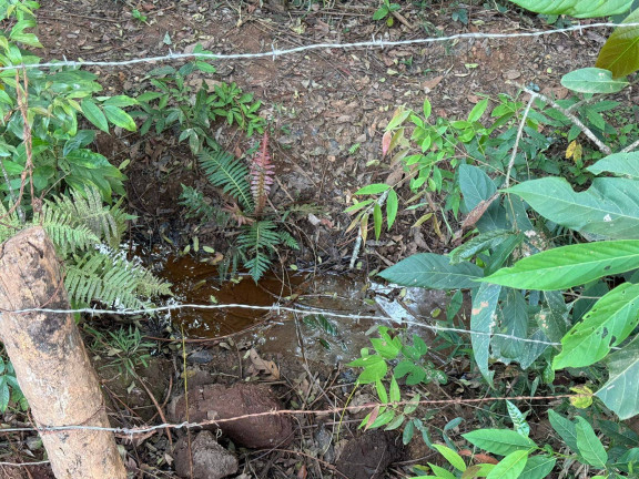 Imagem Terreno à Venda, 1 m² em Cachaça Pendão - Itatiaiuçu Imagem Terreno à Venda, 1 m² em Cachaça Pendão - Itatiaiuçu