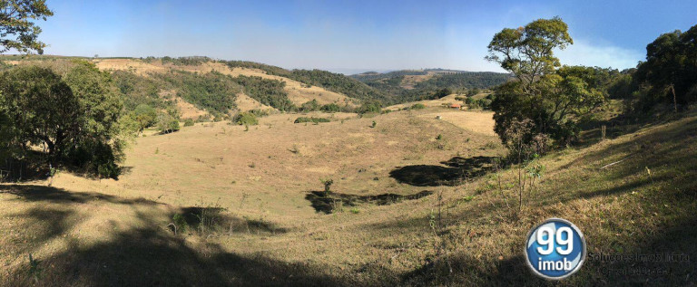 Imagem Chácara à Venda, 62.900 m² em Pardinho Imagem Chácara à Venda, 62.900 m² em Pardinho