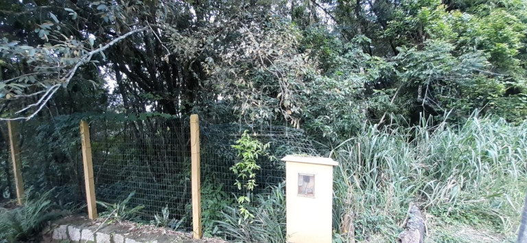 Imagem Terreno à Venda, 2.024 m² em Vargem Grande - Florianópolis Imagem Terreno à Venda, 2.024 m² em Vargem Grande - Florianópolis