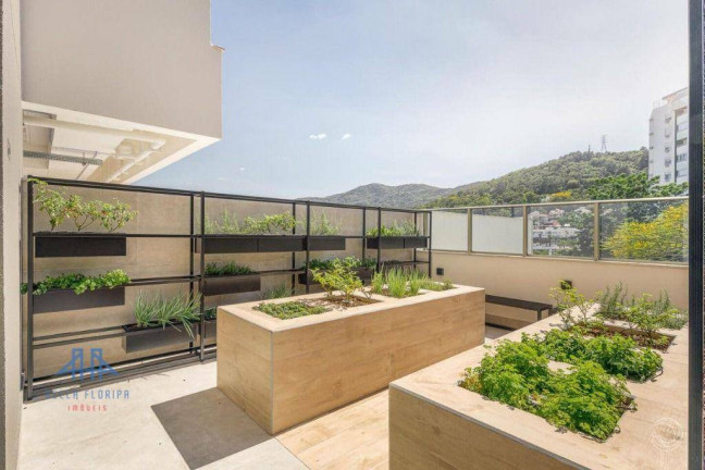 Imagem Apartamento com 2 Quartos à Venda, 67 m² em Córrego Grande - Florianópolis Imagem Apartamento com 2 Quartos à Venda, 67 m² em Córrego Grande - Florianópolis