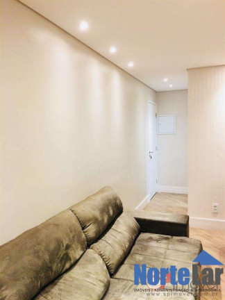 Imagem Apartamento com 3 Quartos à Venda, 77 m² em Vila Amélia - São Paulo