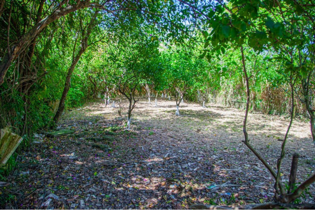 Imagem Imóvel Comercial à Venda, 900 m² em Tijuca - Alvorada Imagem Imóvel Comercial à Venda, 900 m² em Tijuca - Alvorada