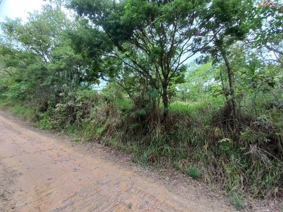 Imagem Terreno à Venda, 1.050 m² em Chácaras Bom Tempo - Franco Da Rocha Imagem Terreno à Venda, 1.050 m² em Chácaras Bom Tempo - Franco Da Rocha