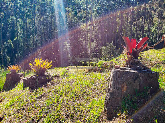 Imagem Terreno em Condomínio à Venda, 1 m² em Alto Capivari - Campos Do Jordão Imagem Terreno em Condomínio à Venda, 1 m² em Alto Capivari - Campos Do Jordão