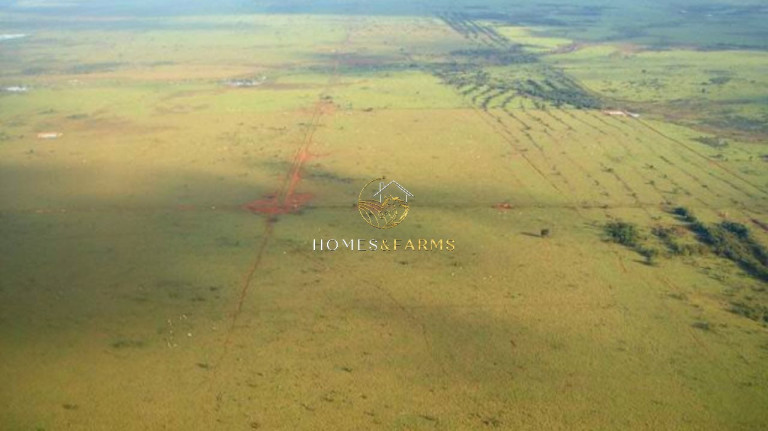 Imagem Imóvel com 4 Quartos à Venda, 103.000 m² em Zona Rural - Porto Alegre Do Norte Imagem Imóvel com 4 Quartos à Venda, 103.000 m² em Zona Rural - Porto Alegre Do Norte