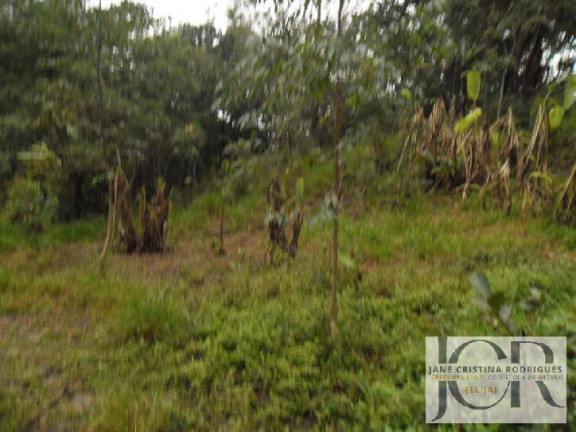 Imagem Terreno à Venda, 8.000 m² em Capuava - Embu Das Artes