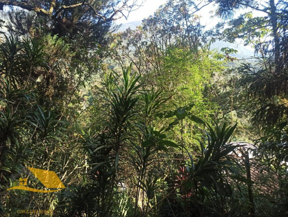 Imagem Chácara com 3 Quartos à Venda, 150 m² em Theodoro De Oliveira - Nova Friburgo