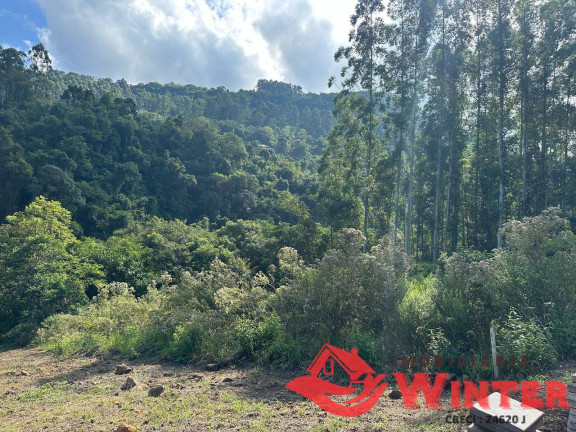 Imagem Terreno à Venda, 2.162 m² em Linha Neis - São Vendelino