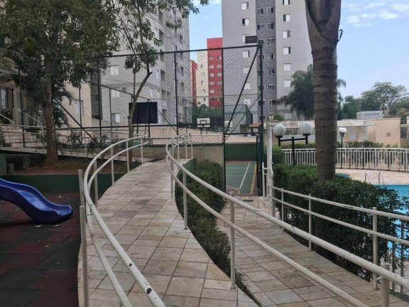 Imagem Apartamento com 2 Quartos à Venda, 60 m² em Vila Talarico - São Paulo Imagem Apartamento com 2 Quartos à Venda, 60 m² em Vila Talarico - São Paulo