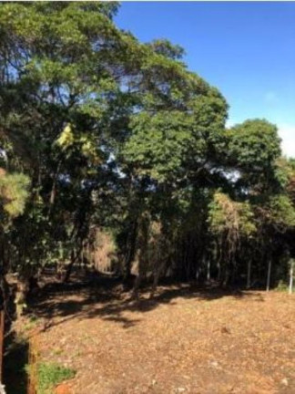 Imagem Terreno à Venda, 2.063 m² em Patamares - Salvador Imagem Terreno à Venda, 2.063 m² em Patamares - Salvador