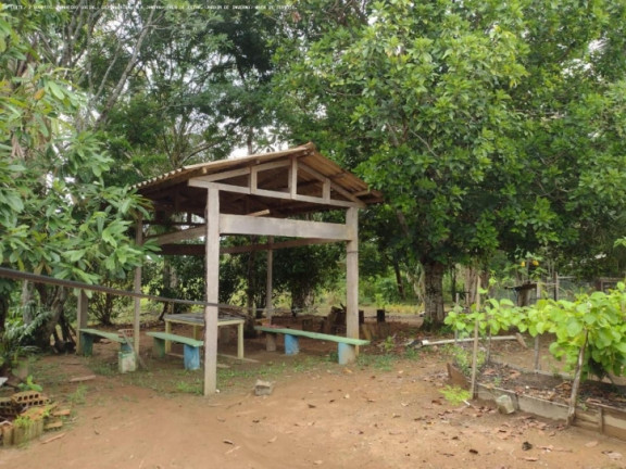 Imagem Chácara à Venda, 5.000 m² em Areia Branca - Porto Velho Imagem Chácara à Venda, 5.000 m² em Areia Branca - Porto Velho